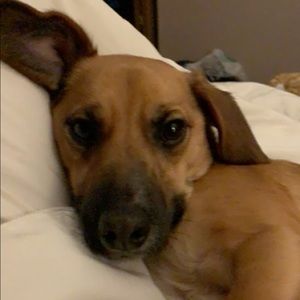 Meet your Posher, Colton